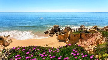 Lovin’ Life in Portugal!