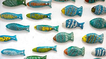 Es ist Sardine-Saison!