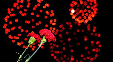 Portugal’s Freedom Day - Dia da Liberdade