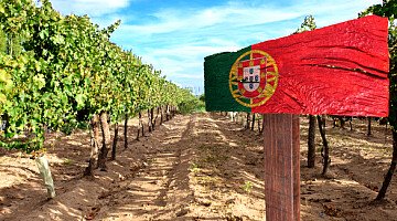 Weine des Alentejo