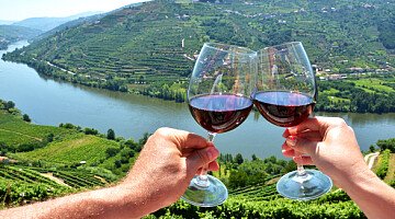 Produção de vinho em alta