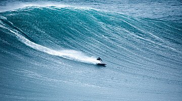 Surf’s up!