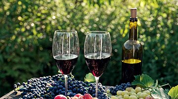 Vivre parmi les meilleures régions viticoles du monde