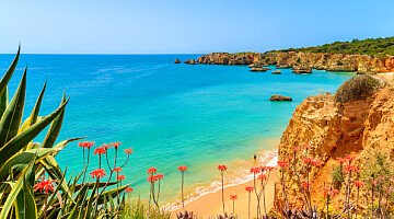 Vivre sans effort avec Globe Group Concierge Services