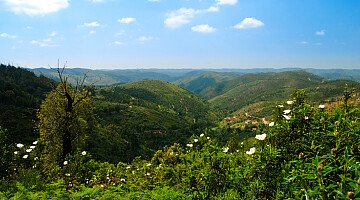 The Different Side of Algarve
