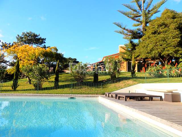 辛特拉令人惊叹的别墅