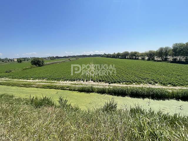 120 hectares de terres agricoles productrices - un potentiel de développement énorme
