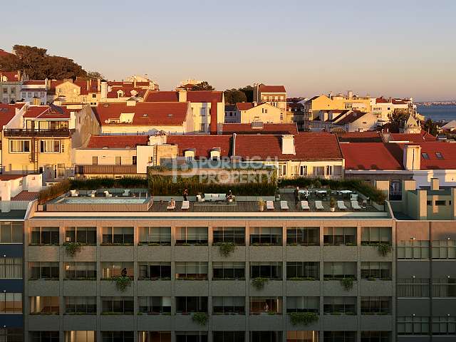 Lapa Apartment， New Building， Beside River（拉帕公寓，新大楼，河边）