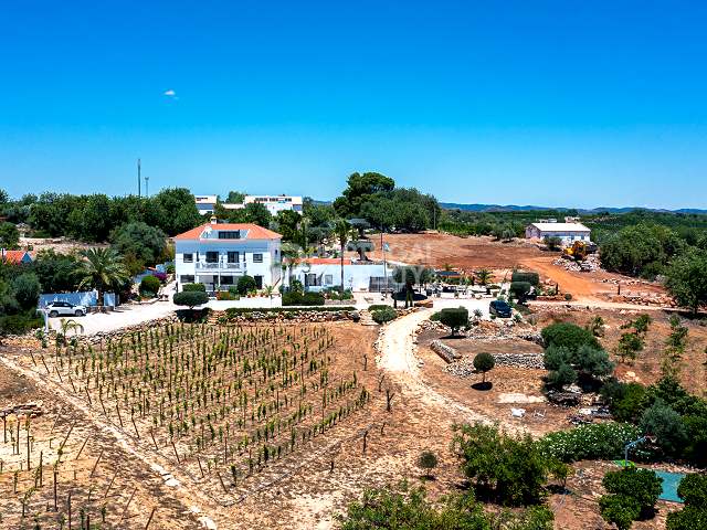 Santo Estevão - an authentic Algarvian B&B and family house.